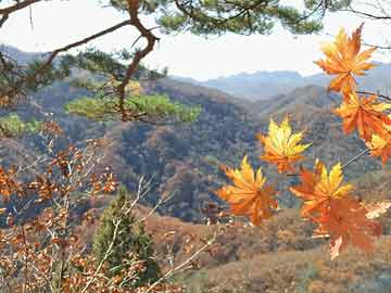 華彩網(wǎng)詹天佑最新動(dòng)態(tài)與成就