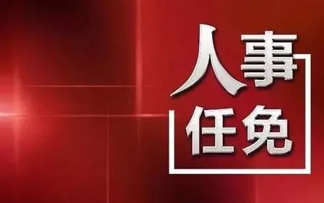 中央最新人事任免，蔡某某的新職務與未來展望